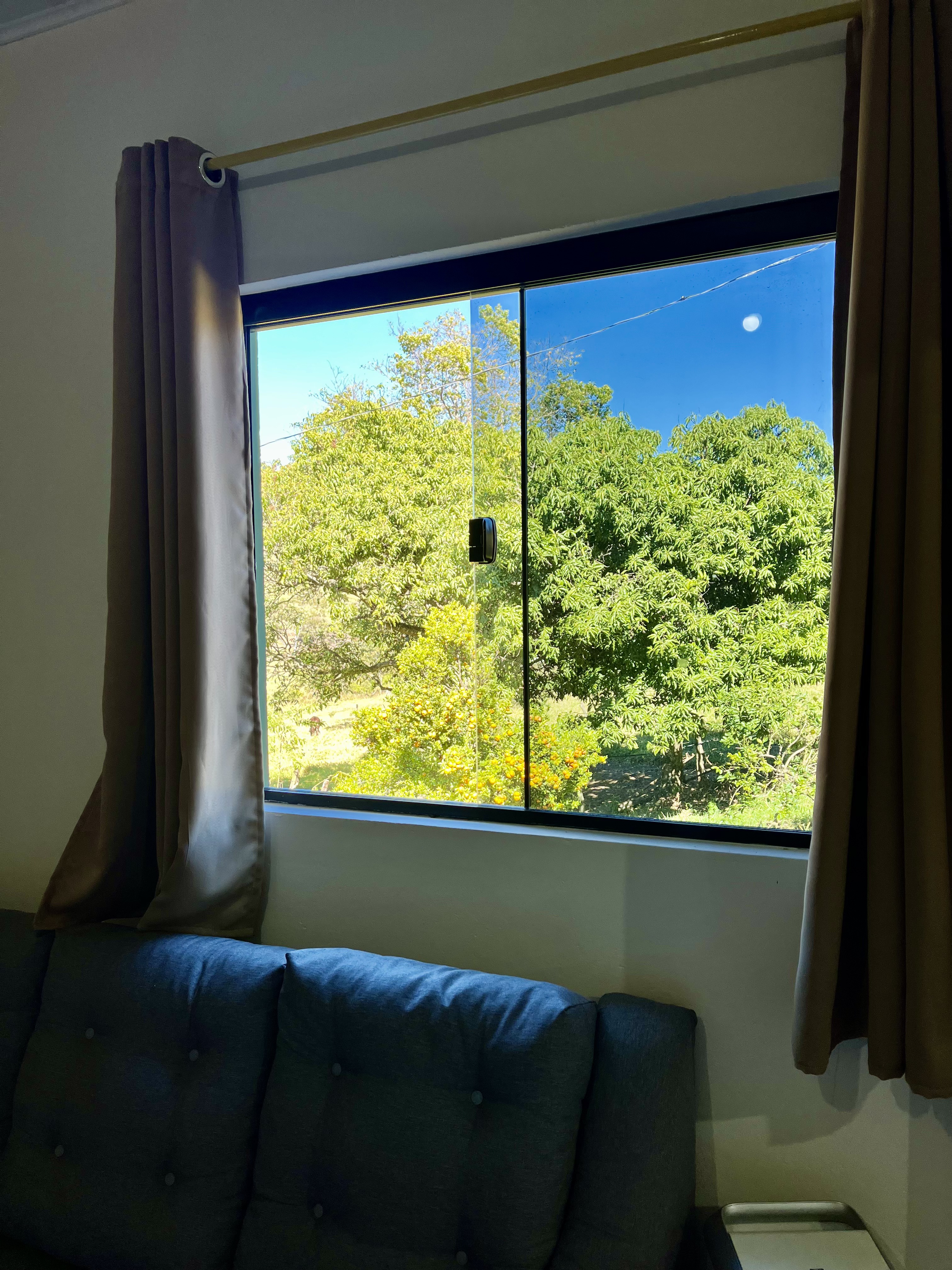 Janela da casa com vista para a natureza